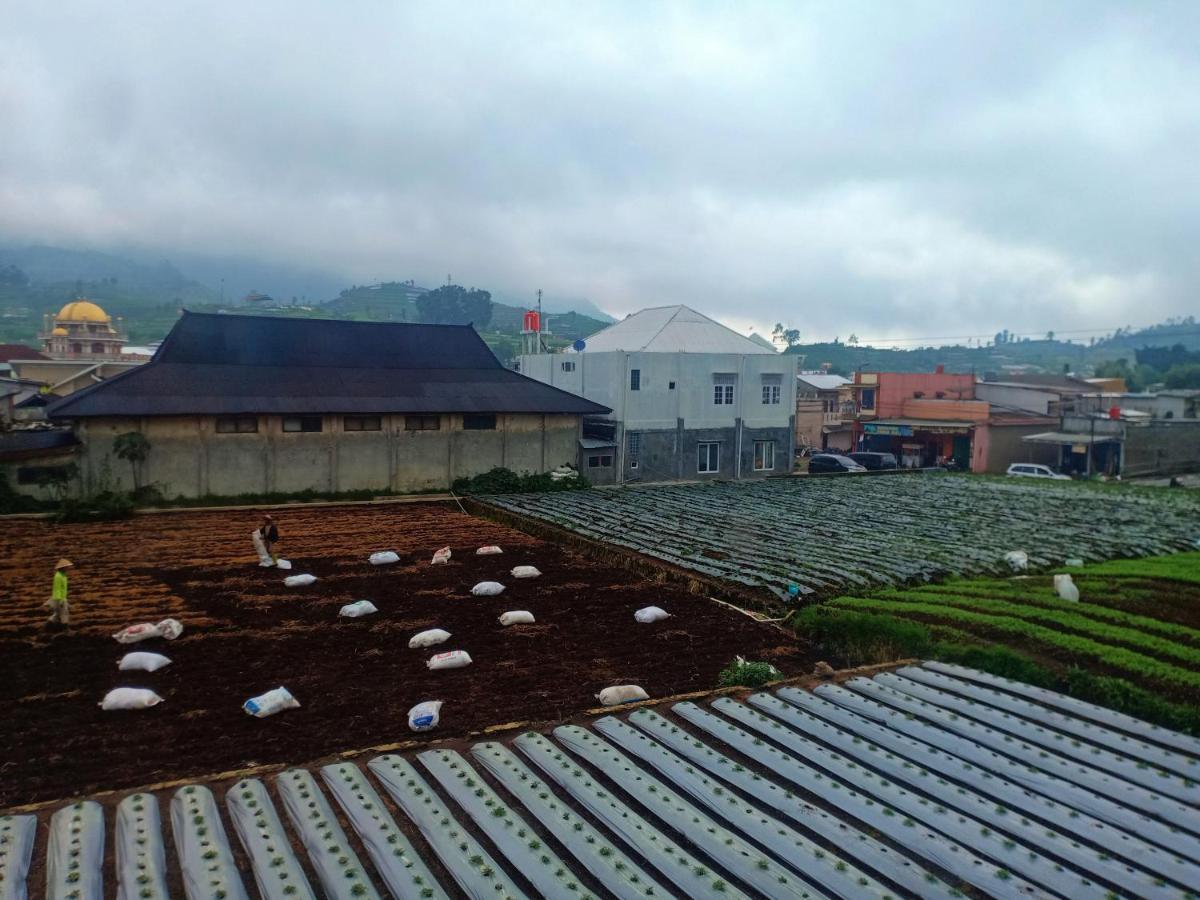 Anemon Dieng Exterior photo