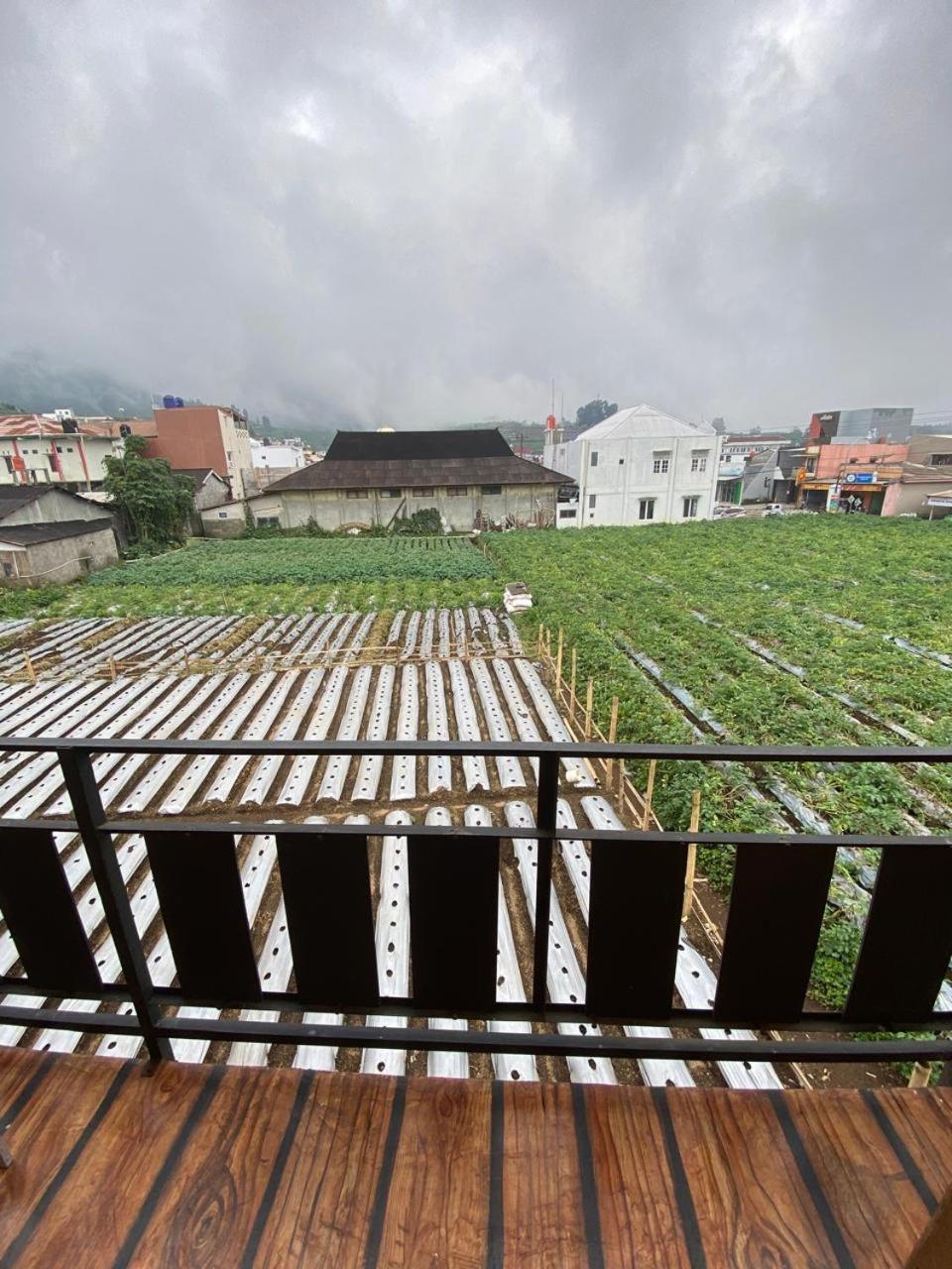 Anemon Dieng Exterior photo